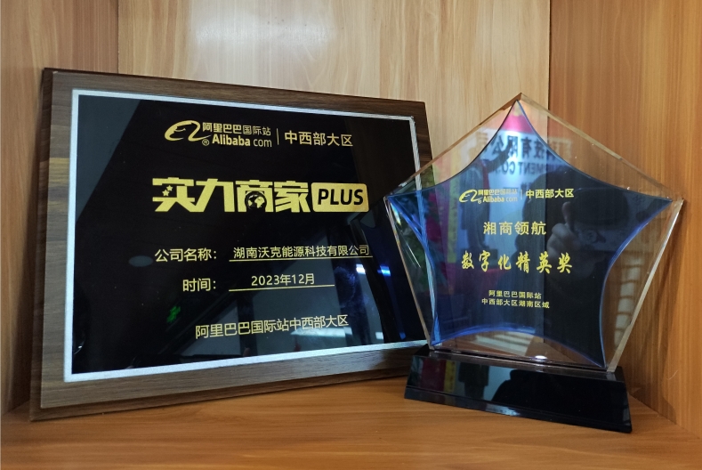 乘風(fēng)破浪,逆勢(shì)出海|沃克能源獲阿里巴巴中西部大區(qū)數(shù)字化精英獎(jiǎng)！